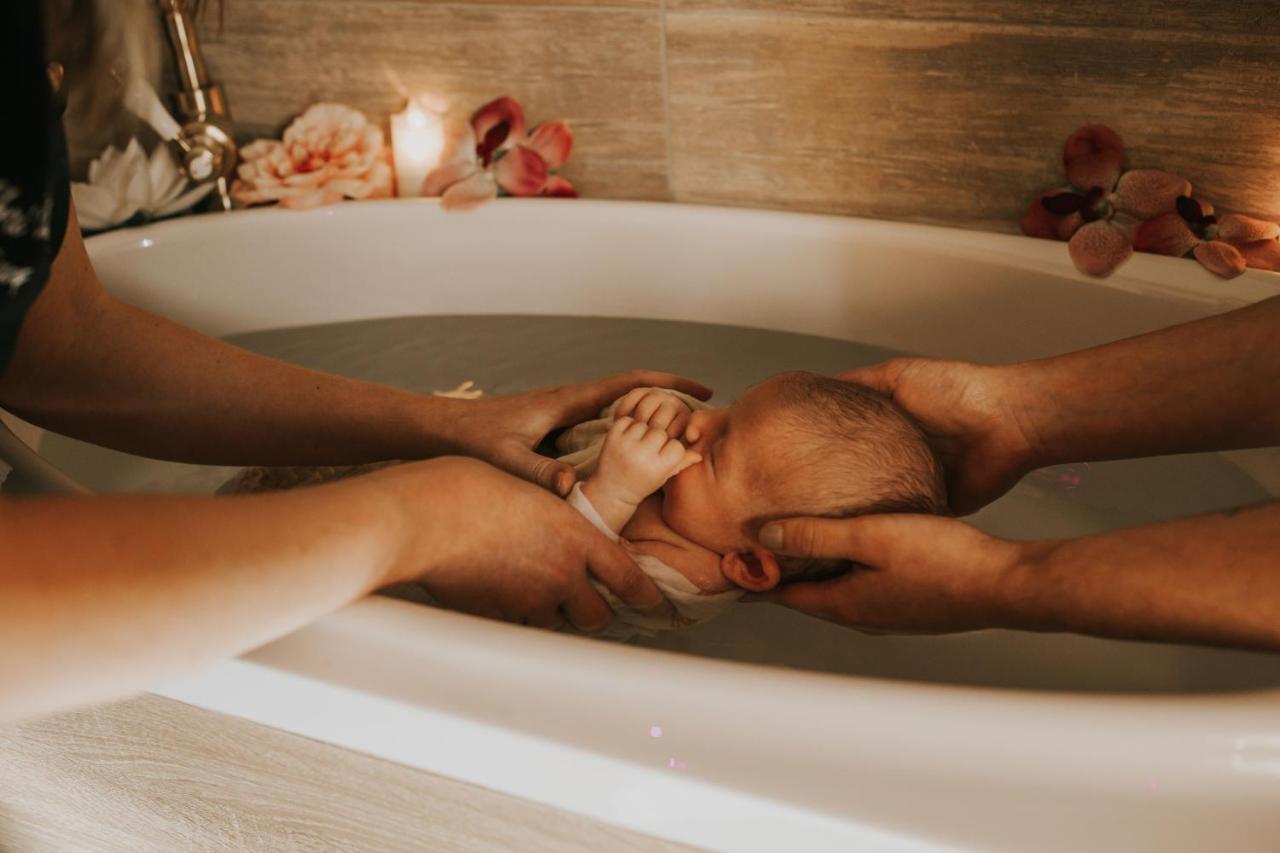 Abri Cosy - Suite Romantique En Camargue Saint-Gilles  Eksteriør bilde